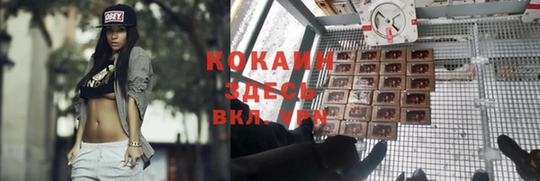 прущие крисы Абинск