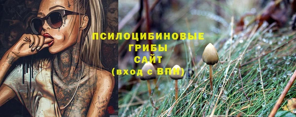 прущие крисы Абинск
