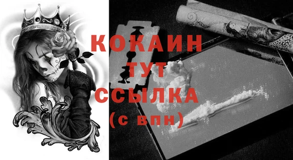 трава Новодвинск