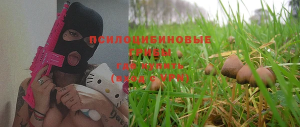 прущие крисы Абинск