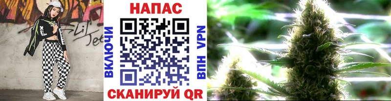 Бошки марихуана планчик  Ленинградская 